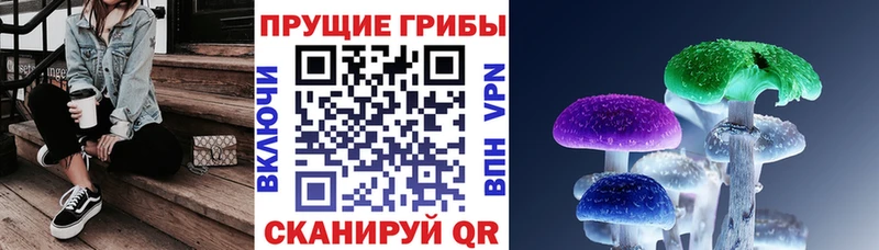 Псилоцибиновые грибы Magic Shrooms  Динская 