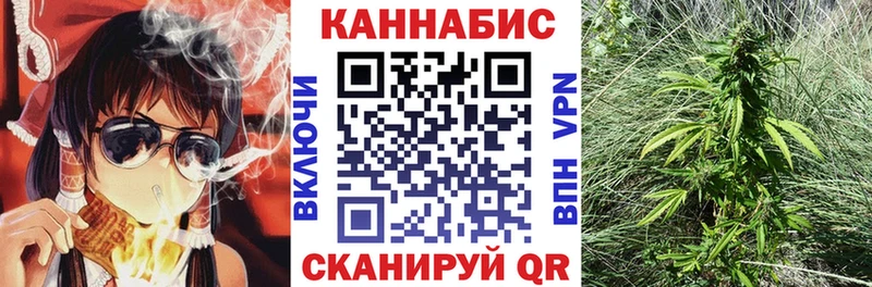 Бошки марихуана сатива  Динская 